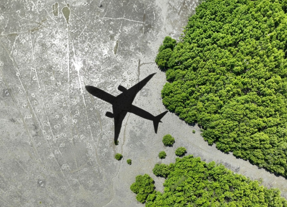 Aviation Green Goals