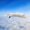 Etihad Airways