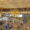Hamad Airport